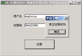 VB共享软件防破解设计技术初探